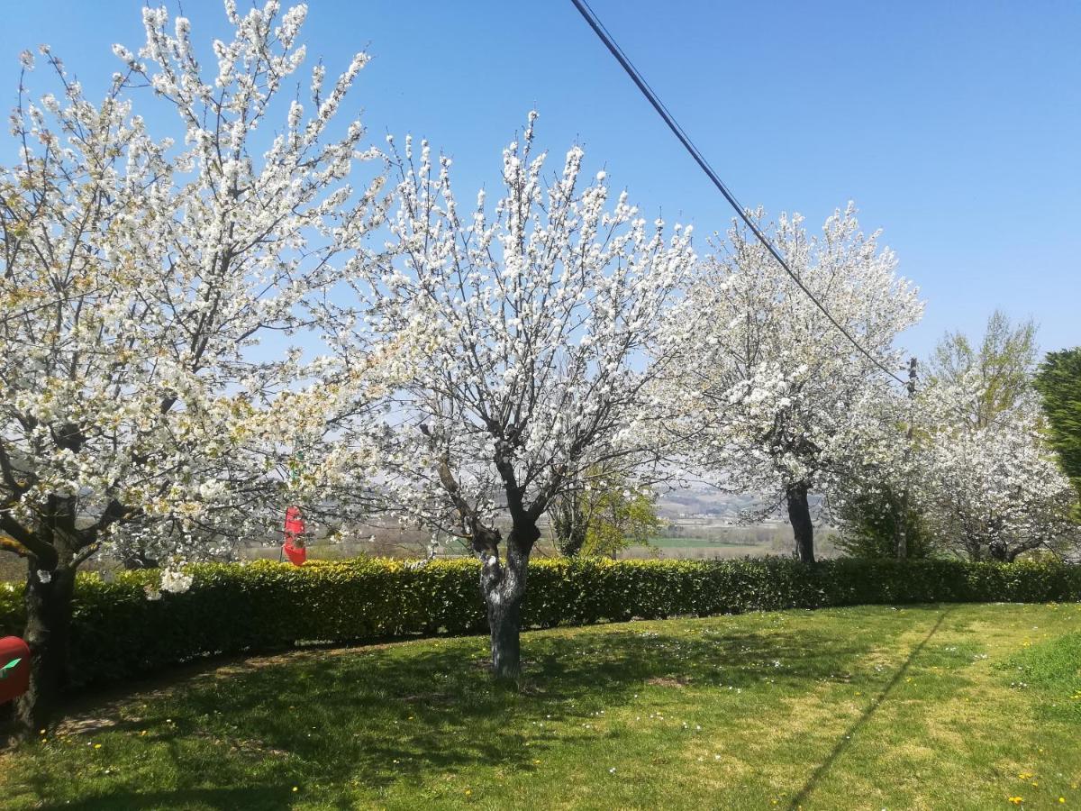 Locazione Turistica Cascina Pela Apartamento Castagnole delle Lanze Exterior foto